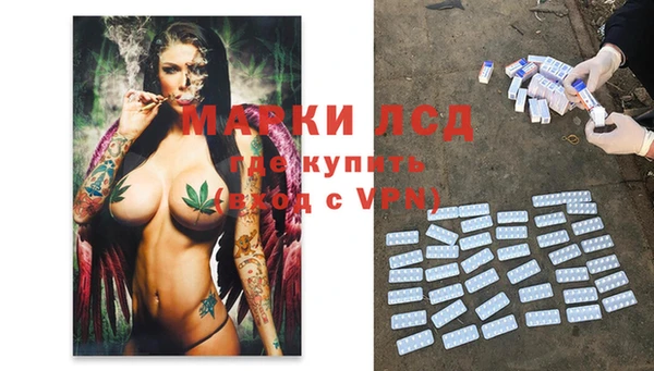 шишки Абаза