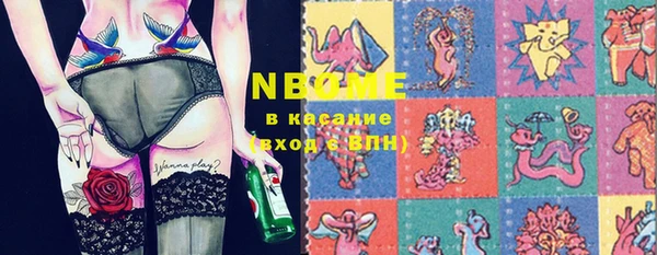 шишки Абаза