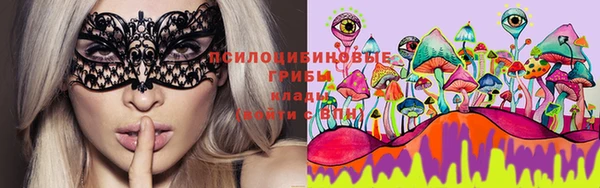 шишки Абаза